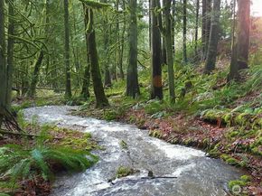 9506 240 Avenue SE, Issaquah WA 98027