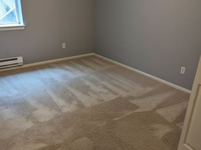 2419 8th Avenue N 202, Seattle WA 98109