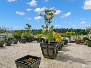 12334 31st Avenue NE 607, Seattle WA 98125