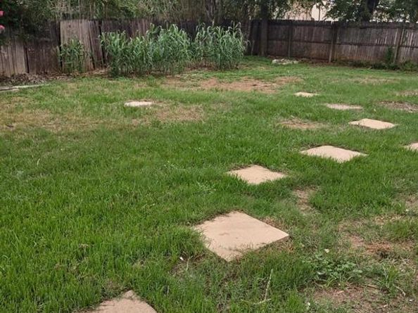 525  Andenwood Court , Everman Texas 76140