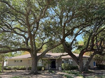 6014  Boca Raton Drive 