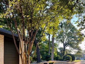 1223 N Tyler Street , Dallas Texas 75208
