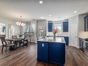 1105  Freesia Drive , Little Elm Texas 75068