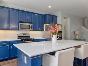 1105  Freesia Drive , Little Elm Texas 75068