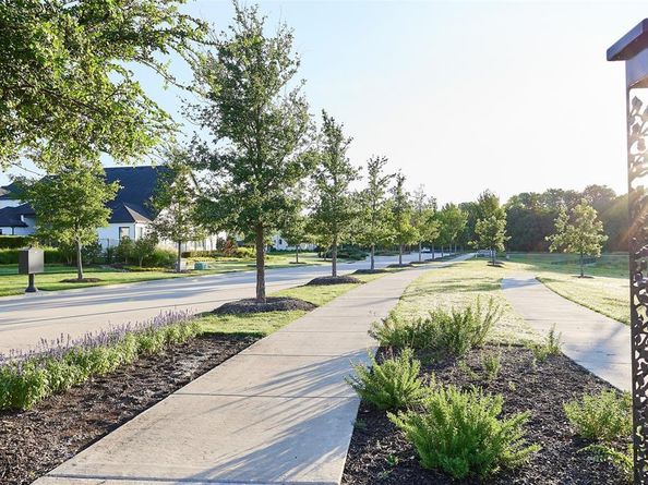 15284  Boxthorn Drive , Frisco Texas 75035