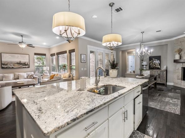 4003  Cinnabar Falls Way , Arlington Texas 76005