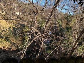 134  Main Place , Euless Texas 76040