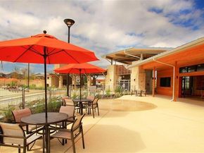 9655  Rock Rose Street , McKinney Texas 75071