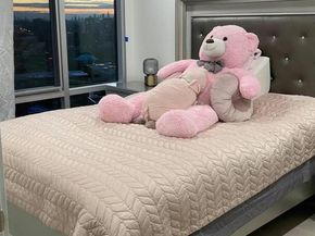 41-62 Bowne Street 13D, Flushing NY 11355