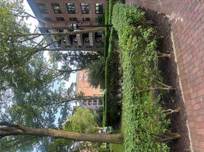 6 Birchwood Court 3H, Mineola NY 11501