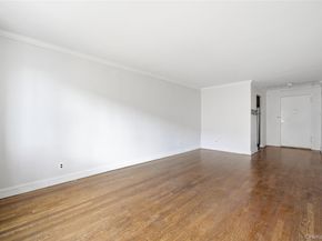 6 Birchwood Court 3H, Mineola NY 11501