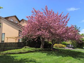 1 Ellen Court, Glen Cove NY 11542