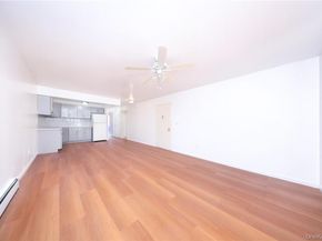 517 Milford Street, Brooklyn NY 11208