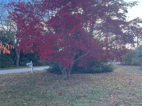 8 Atlantic Ave., Blue Point NY 11715