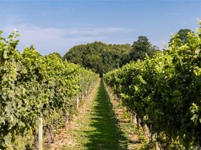 59600 Main Road, Southold NY 11971