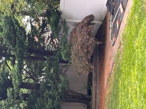532 Lafayette Road, West Babylon NY 11704