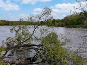 8 Hoyt Street, South Salem NY 10590
