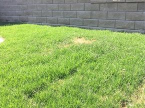 3747 Hamilton, Redwood City CA 94062