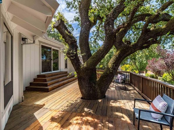 3137 Gloria Ter, Lafayette CA 94549