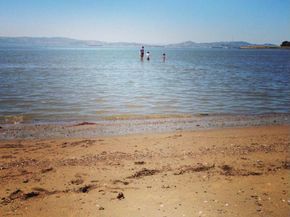 2137 Otis Drive 302, Alameda CA 94501