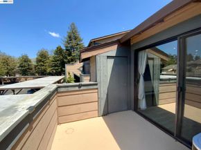 277 Hackamore Cmn, Fremont CA 94539