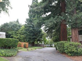 1055 San Ramon Valley BLVD, Danville CA 94526