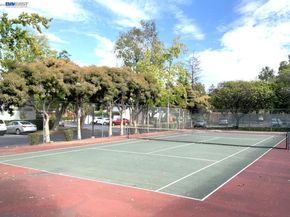 10439 Mary Ave, Cupertino CA 95014