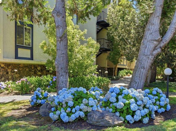 955 Shorepoint Ct 208, Alameda CA 94501