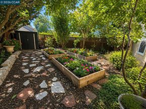 601 Ambience Way, Danville CA 94506
