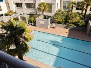 1655 N California Blvd 345, Walnut Creek CA 94596