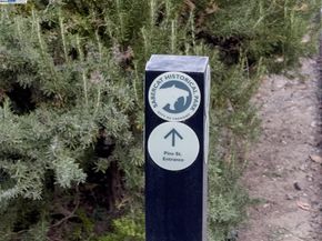 341 Dana St, Fremont CA 94539