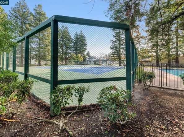 638 La Corso Dr, Walnut Creek CA 94598