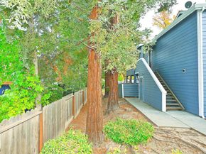 648 Fig Tree Lane, Martinez CA 94553