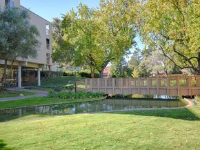 320 N Civic Dr 404, Walnut Creek CA 94596