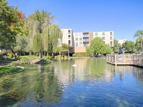 320 N Civic Dr 404, Walnut Creek CA 94596