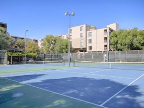 320 N Civic Dr 404, Walnut Creek CA 94596