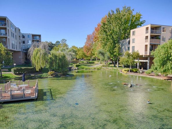 320 N Civic Dr 404, Walnut Creek CA 94596