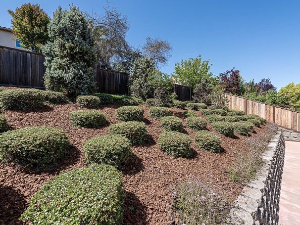 2222 Dewberry Dr, San Ramon CA 94582