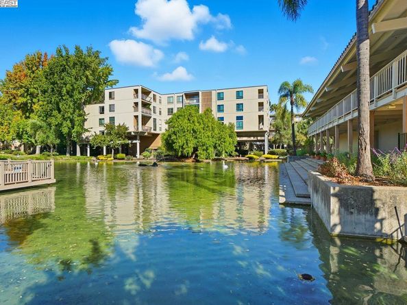 310 N Civic Dr 102, Walnut Creek CA 94596