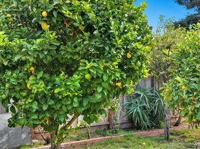 11862 Dublin Green Dr, Dublin CA 94568