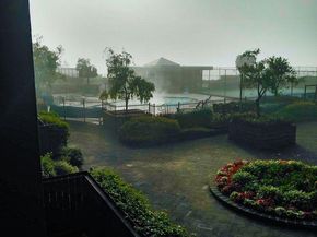 555 Pierce St 226, Albany CA 94706