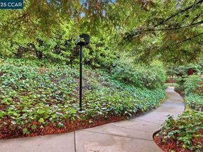 533 Monarch Ridge Dr, Walnut Creek CA 94597