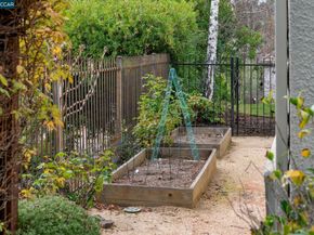 40 Oak Trail Ct, Alamo CA 94507