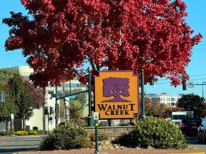 1201 Alta Vista Dr 209, Walnut Creek CA 94596