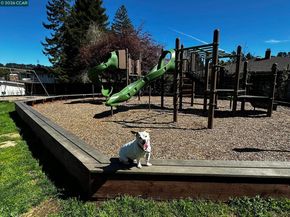 1040 Park Hills Rd, Berkeley CA 94708