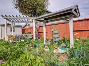 6364 Honeysuckle Dr, Newark CA 94560