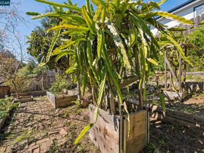 4037 Rusting Ave, Oakland CA 94605