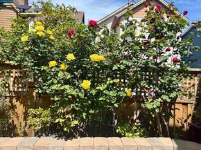 2036 Serra Ln, Hercules CA 94547