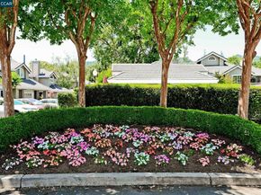 57 Danville Oak Pl, Danville CA 94526