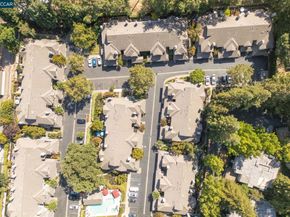 57 Danville Oak Pl, Danville CA 94526